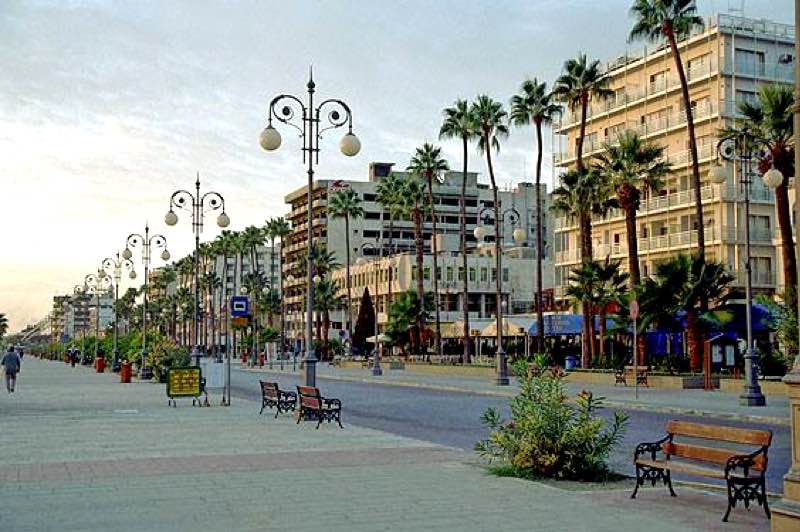 Palm trees Promenade in Larnaca Travel Guide